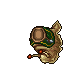 Tiger Slug